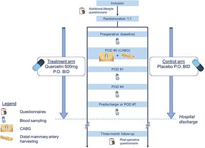 Design of a Randomized Placebo-Controlled Trial to Evaluate the Anti-inflammatory and Senolytic Effects of Quercetin in Patients Undergoing Coronary Artery Bypass Graft Surgery